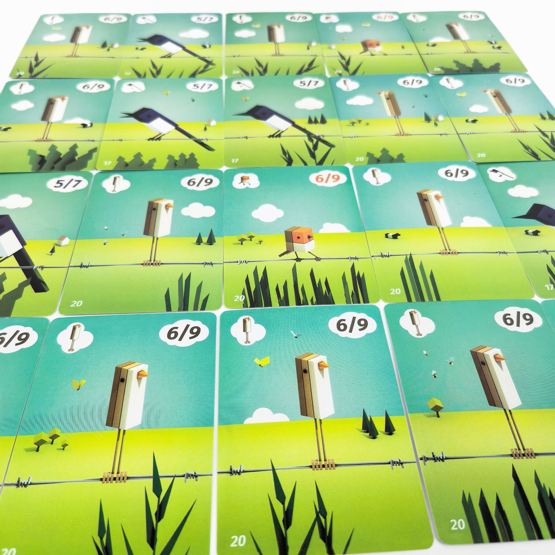Gorące Gry Ptaki Strategiczna  – Board Game Fun recenzja i cena